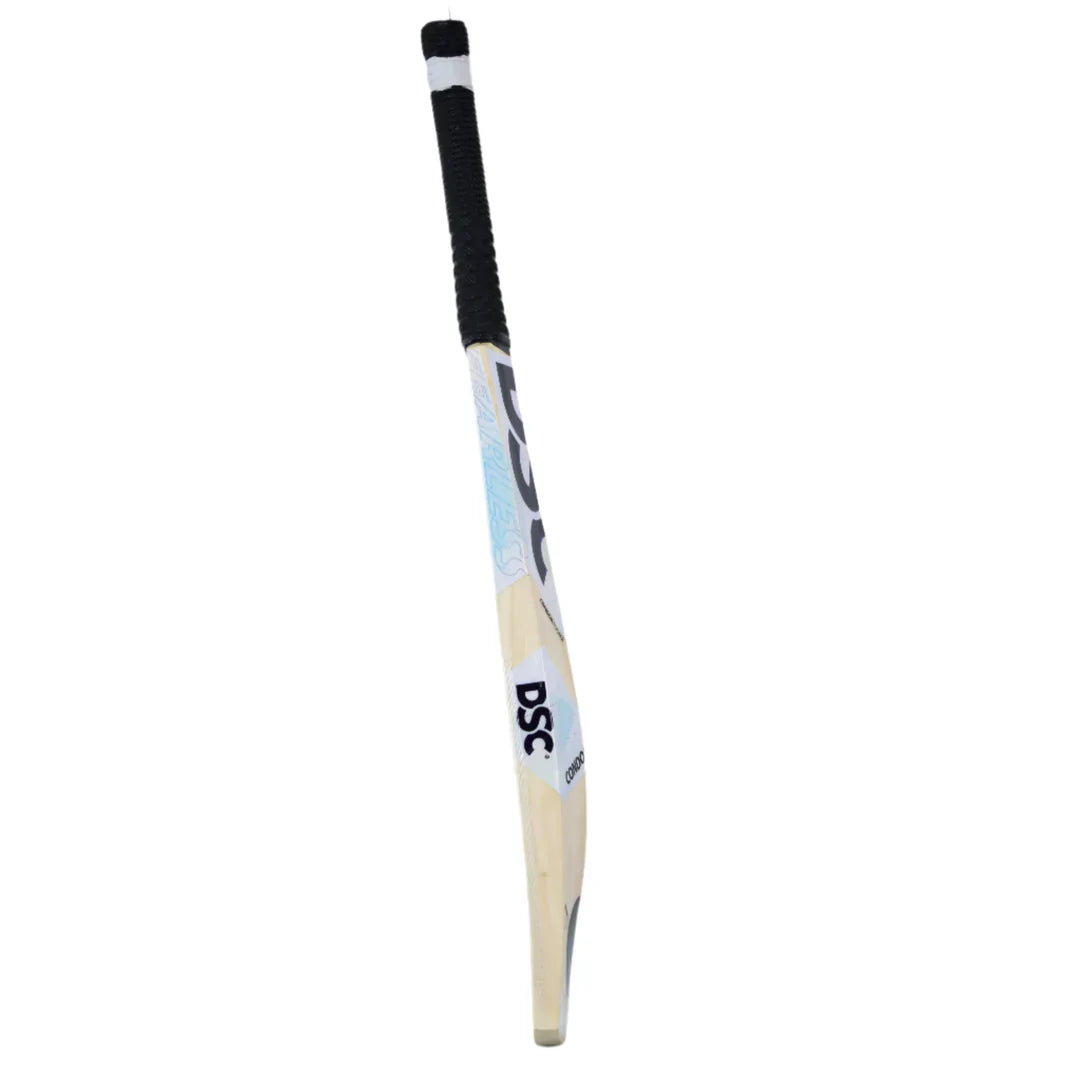 DSC Condor Flicker Kashmir Willow Cricket Bat