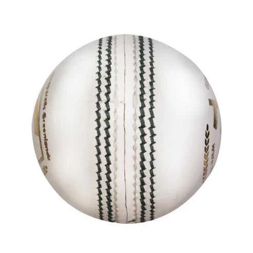SG Test Cricket Ball White
