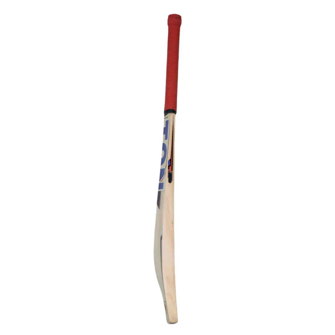 SG Sierra Plus Kashmir Willow Cricket Bat Size