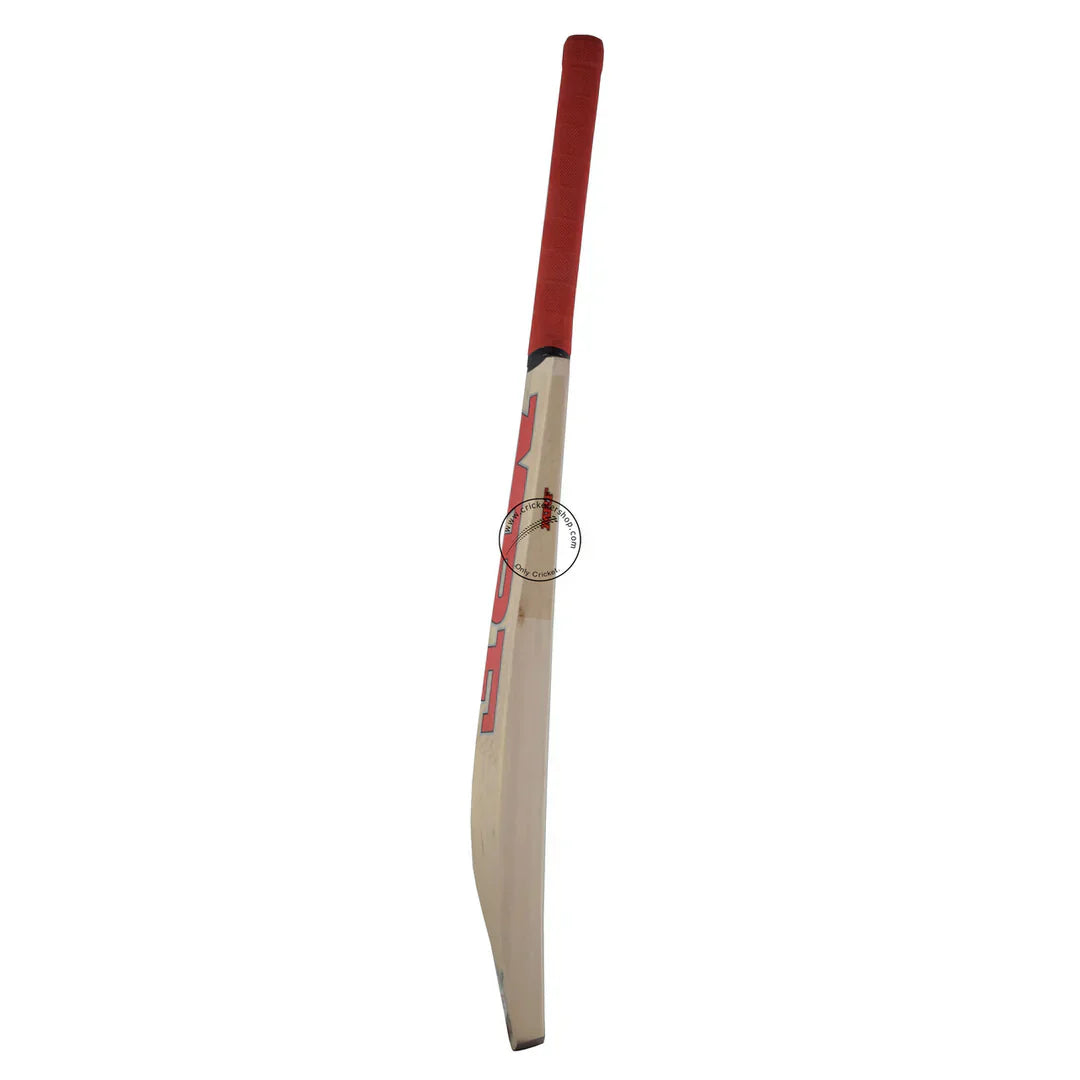 MRF Winner Kashmir Willow Cricket Bat Size SH