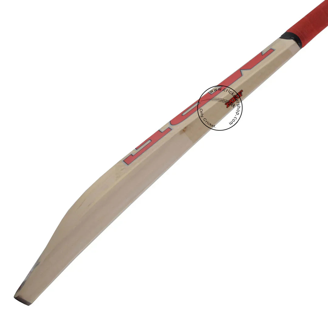 MRF Winner Kashmir Willow Cricket Bat Size SH