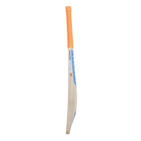 Reebok Blast Pro English Willow Cricket Bat Size SH