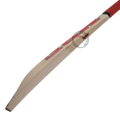 MRF Winner Kashmir Willow Cricket Bat Size SH