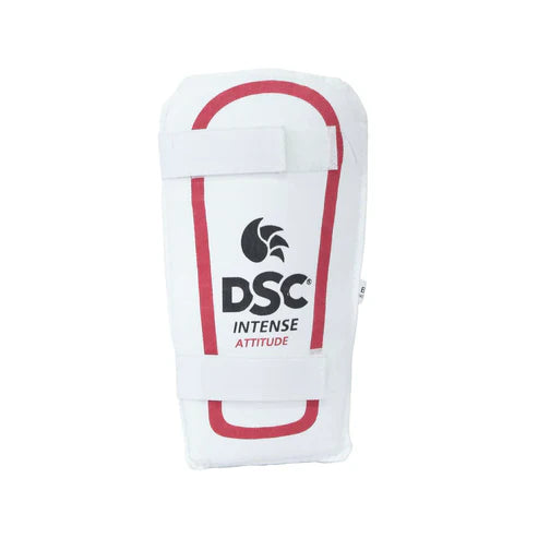 DSC Premium Full Cricket Kit Kashmir Willow Size