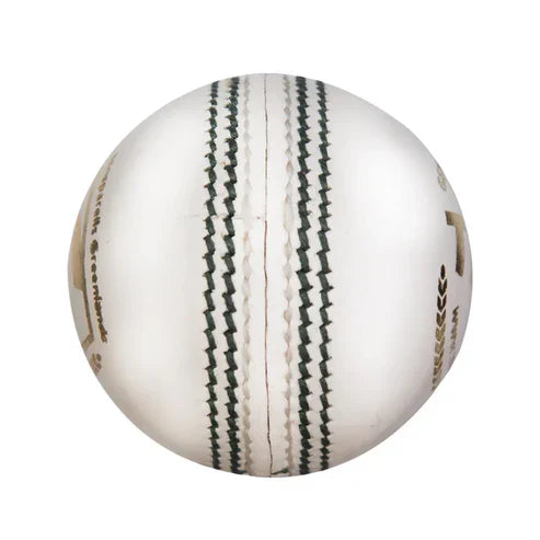 SG Test Cricket Ball White