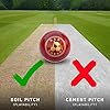 Red Cherry by Kookaburra Leather Cricket Ball, Size Standard (Red)