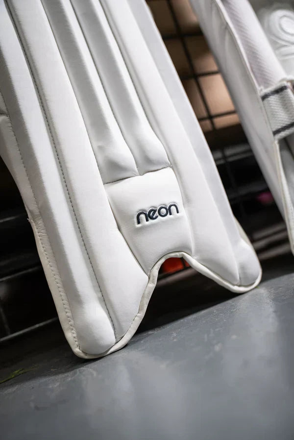 Pro Players Wicket Keeping Pads