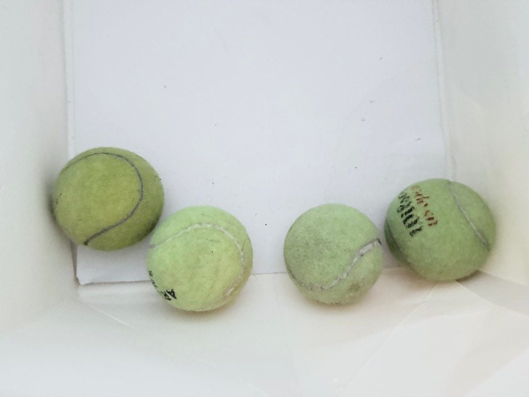 Dunlop Tennis Balls