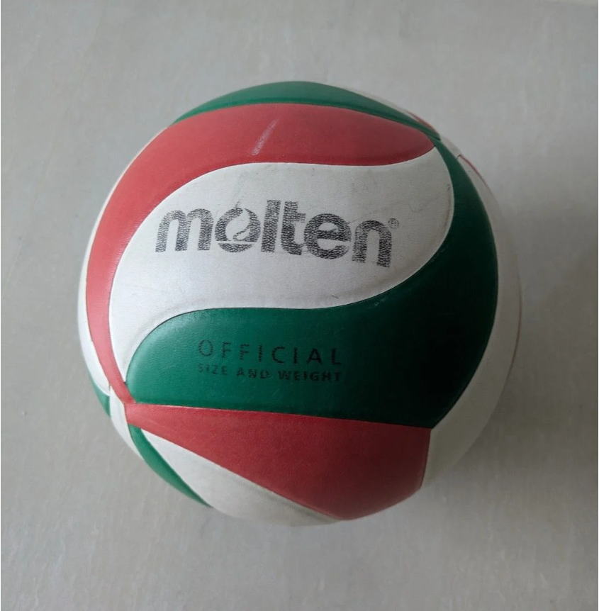 Molten Volleyball
